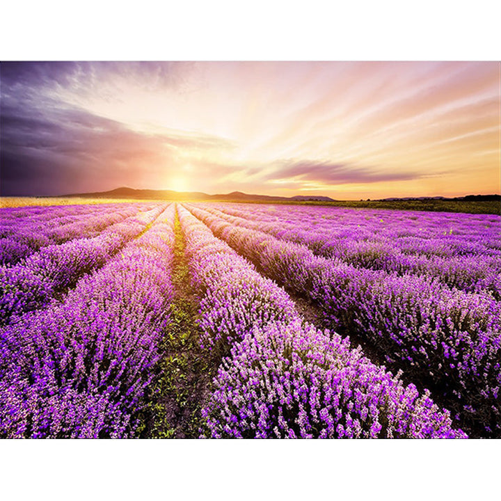 New Lavender Pattern Rug Purple Polyester Rug Machine Washable Non-Slip Rug for the Bedroom