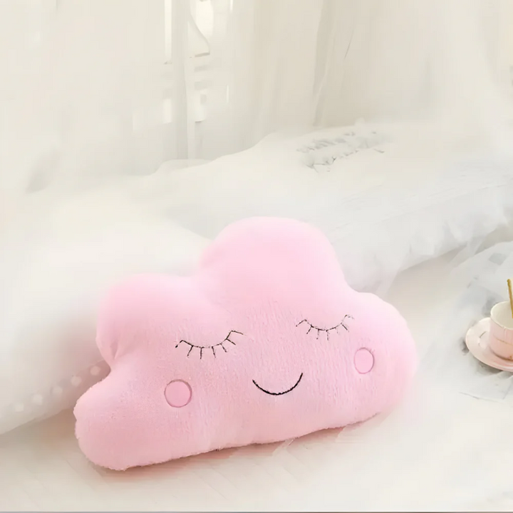 Plush Decorative Cushion