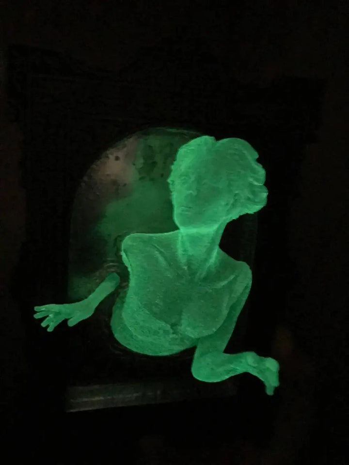 Spirit in the Mirror – Shining 3D wall decoration made of resin