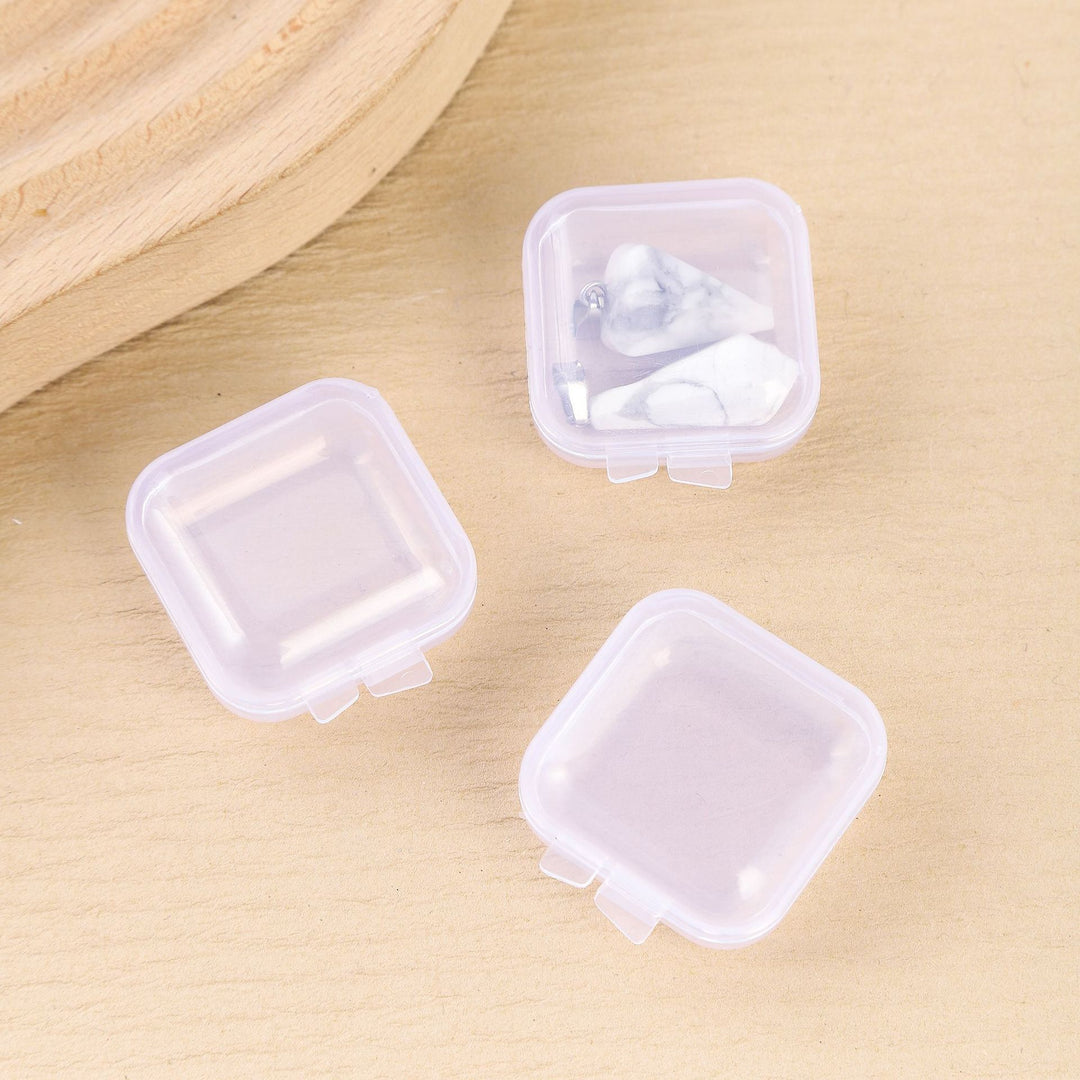 Compact Clear Medicine Storage Case Meso Living
