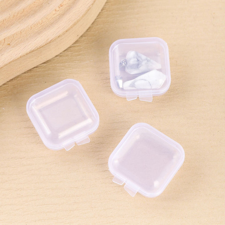 Compact Clear Medicine Storage Case Meso Living
