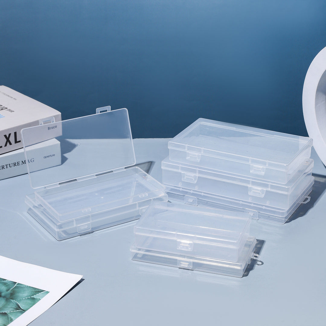 Versatile Clear Storage Box Meso Living