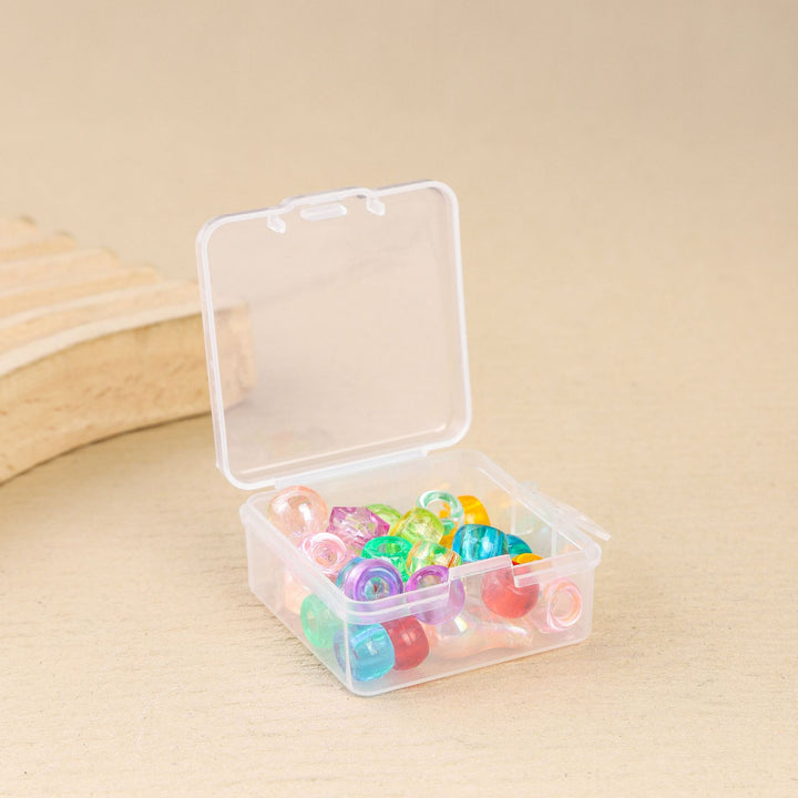 Compact Multi-Purpose Clear Storage Case Meso Living