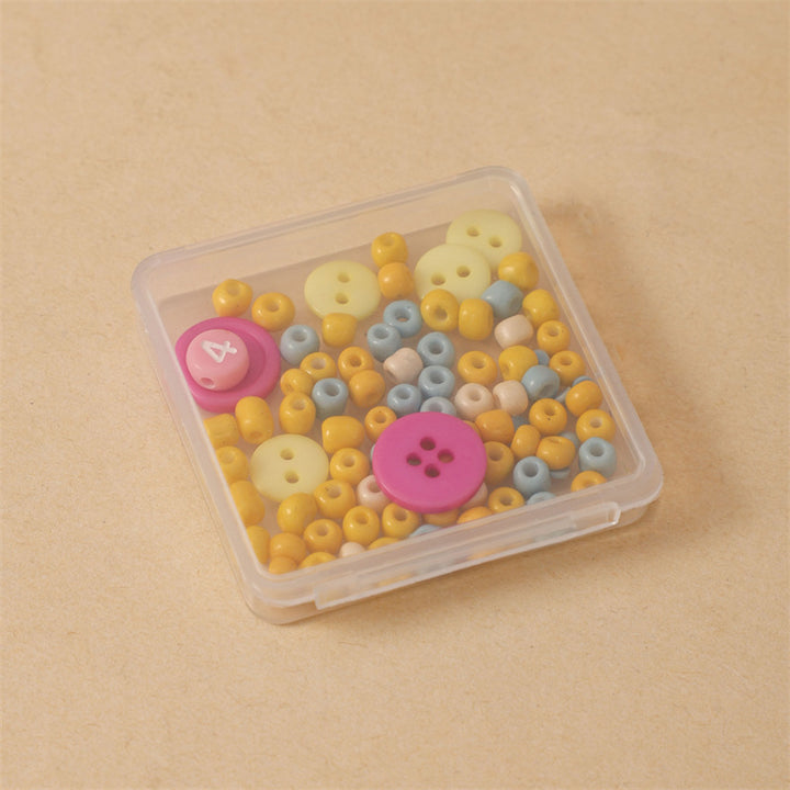 Compact Multi-Functional Clear Storage Case Meso Living