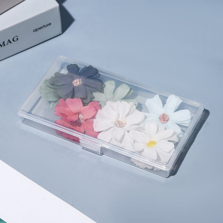 Slim Transparent Storage Case Meso Living