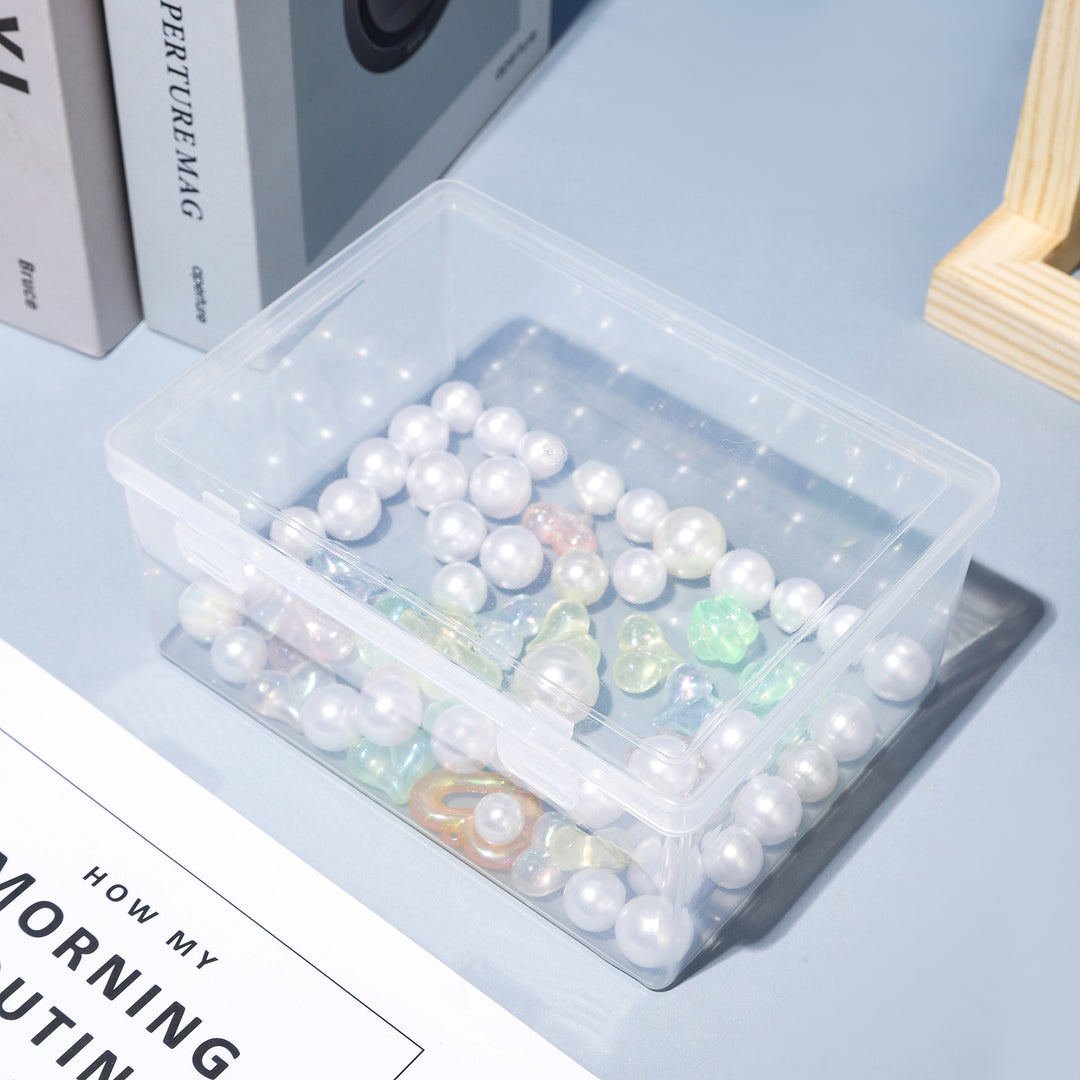 Premium Clear Storage Box Meso Living