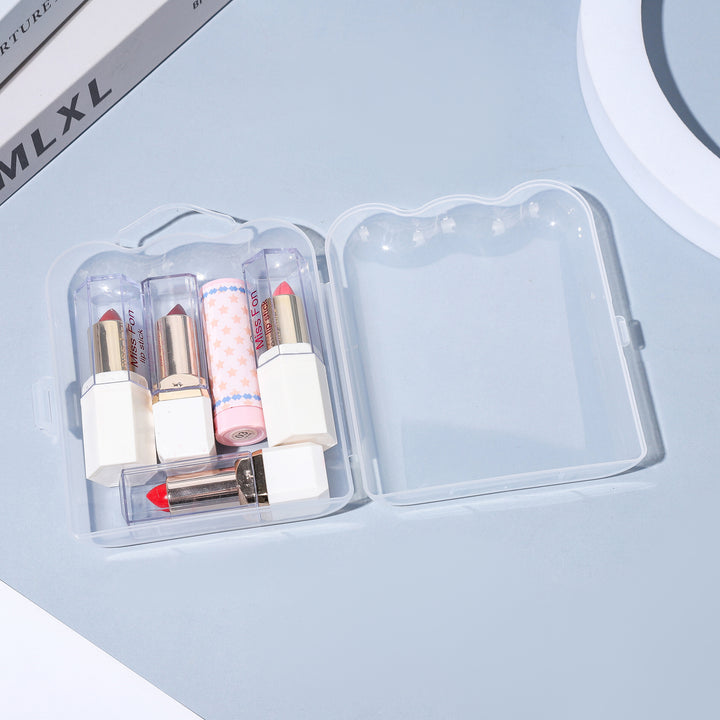 Multi-Purpose Transparent Storage Case Meso Living