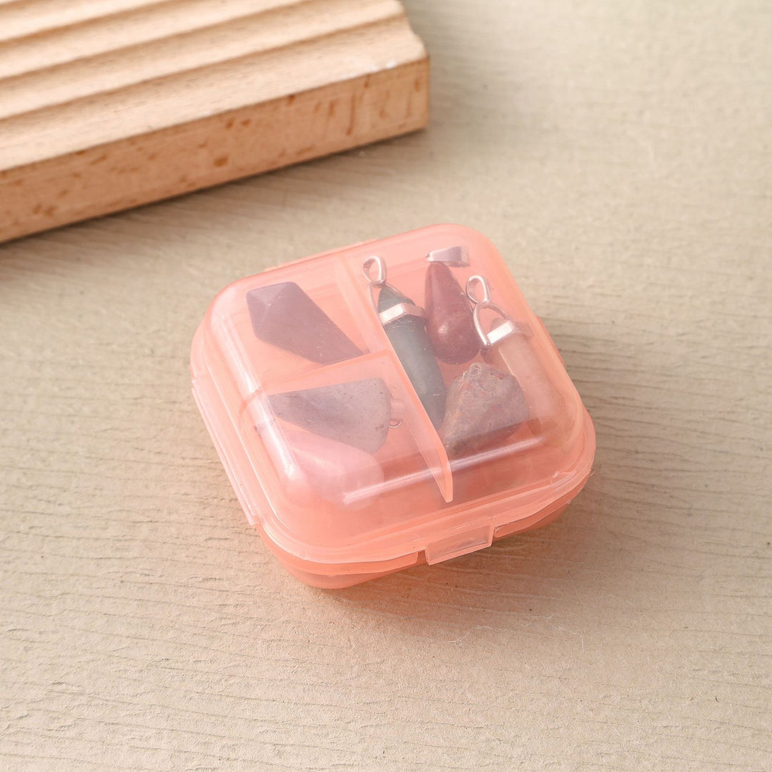 Compact Divider Snack Case Meso Living