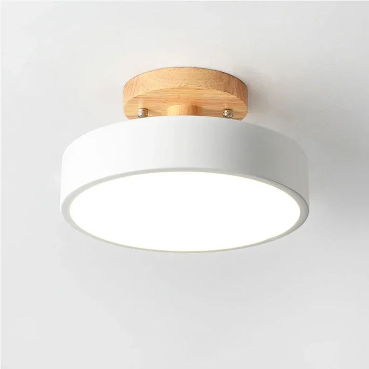 Nordic Industrial Ceiling Light – LED Round Ceiling Lamp for Kitchen, Dining Room, Bedroom, Hallway, and Bathroom – Modern Metal and Acrylic Design