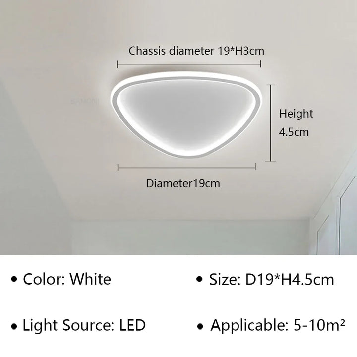 Modern LED Ceiling Lamp - Elegant Oval Design for Versatile Indoor Lighting